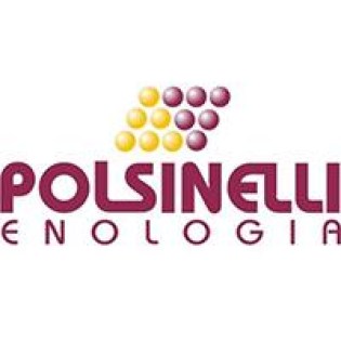 POLSINELLI