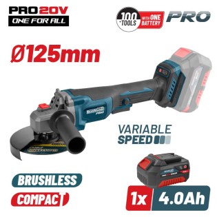 2BBP3650