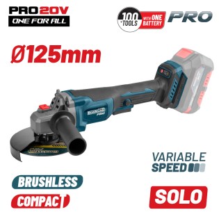 BBP3650