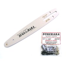 sugi_lama7