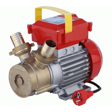 Pompa multigiro 1Hp ROVER 35 CE